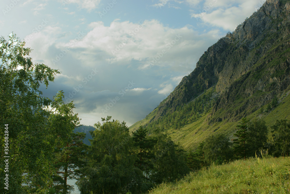 Mountain valley of the Katun river. Green mountains and valley. Altai. Siberia.