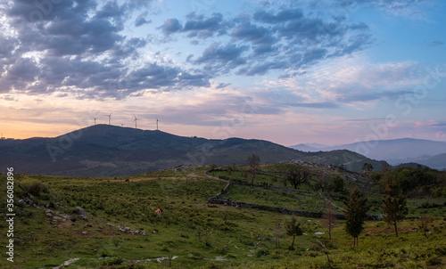 Lindo amanhecer p  r do sol no campo de cultivo nas montanhas