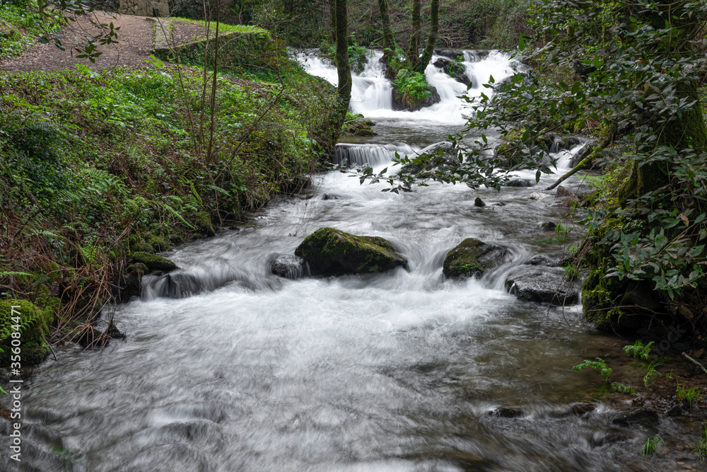 Obraz premium Manatiales