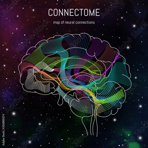 Neuroscience infographic on space background. Brain cells connectome concept.Neural network, neurons forming a complex map for mind and thinking