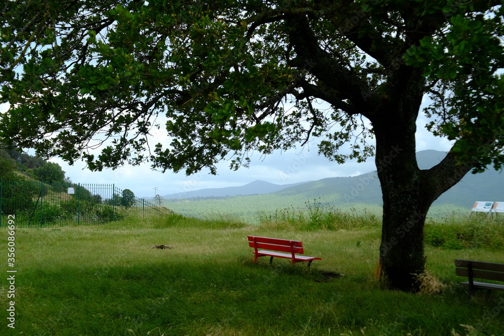 Panchina rossa in un parco, Monte Tuscolo, Italia Panchina rossa in un parco, Monte Tuscolo, Italia