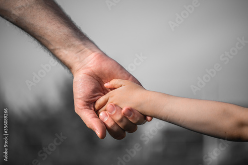 Parent holding the hand of a small child. Father's hand lead his child in summer nature outdoor. Family or fathers day concept.
