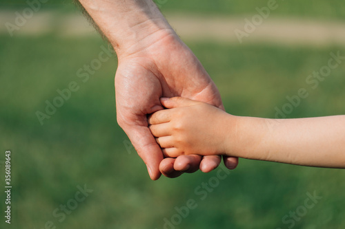 Parent holding the hand of a small child. Father's hand lead his child in summer nature outdoor. Family or fathers day concept. © Inception