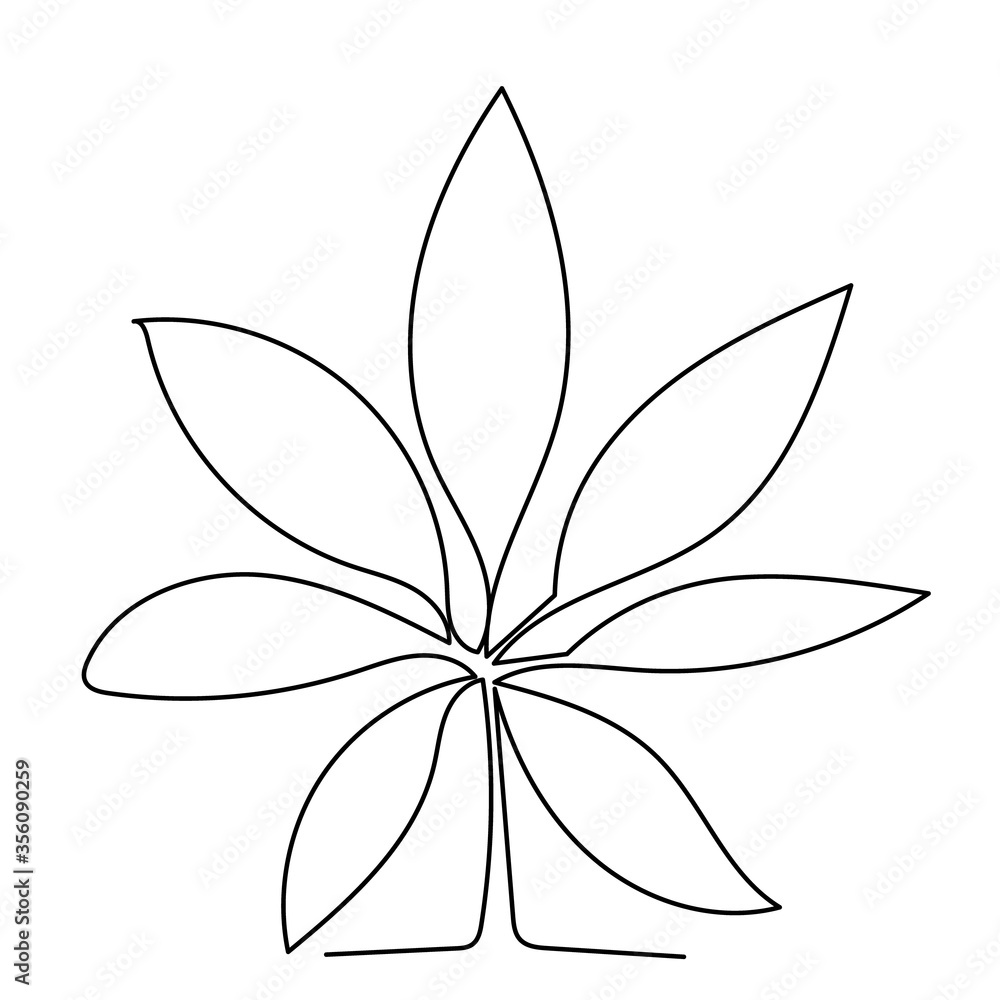 white background, palm leaf continuous line drawing, sketch white background, palm leaf continuous line drawing, sketch