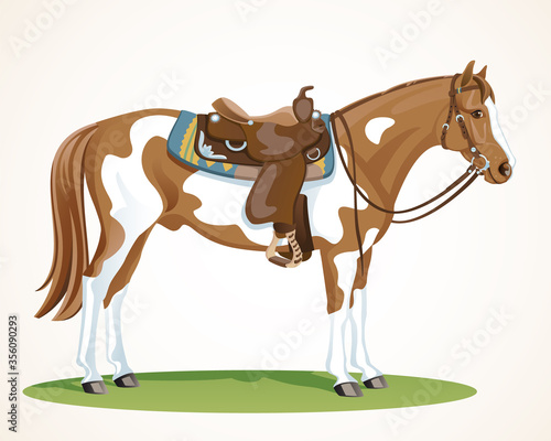 Western Horse with saddle and bridle - Paint Horse standing in side view