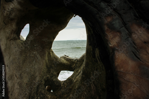 Hole in Driftwood