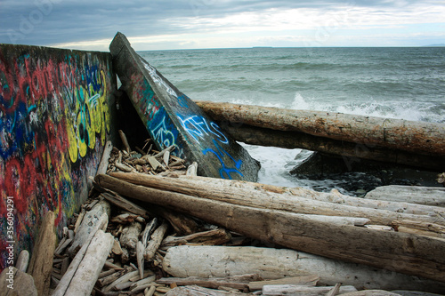 Graffiti and Driftwood