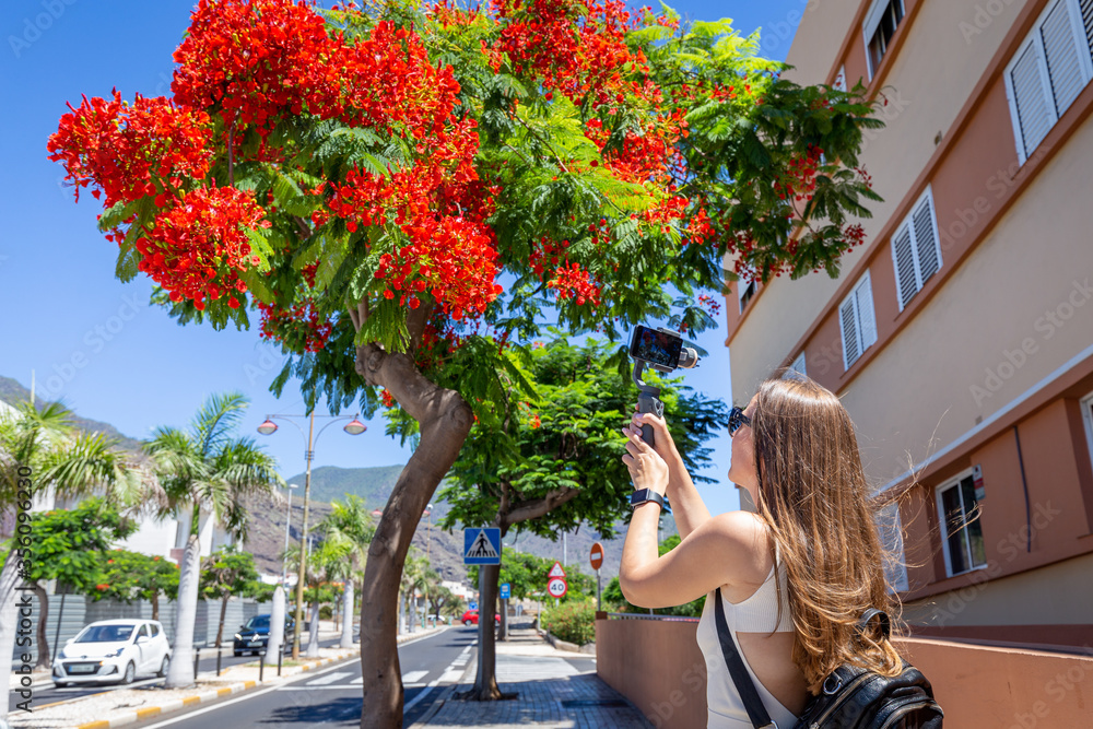 Young girl video blogger taking video of flame tree with smartphone on  gimbal foto de Stock | Adobe Stock