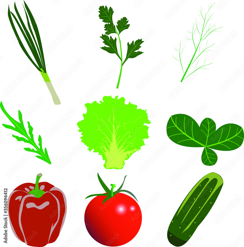 Plakat flat vegetables set designs, onion, parsley, tomato, cucumber, salad, dill leaf collection