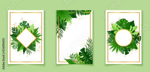 Botanical banners set with tropical leaves. Vector illustration