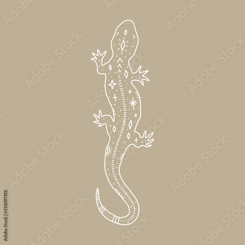 Lizard and space inside, double exposure. Wildlife concept. Boho tattoo art, fantasy ethnic style. Ornate animal. Vector illustration.