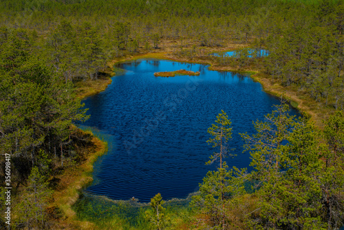 Blue lake at Viru bog in Lahemaa National Park, Estonia