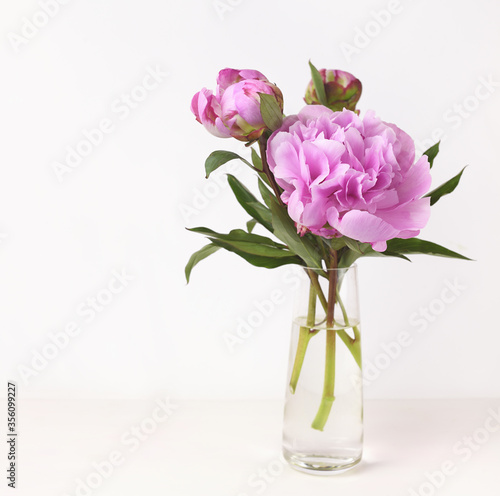 Fototapeta Naklejka Na Ścianę i Meble -  Bouquet of pink peony flowers and buds in a glass vase