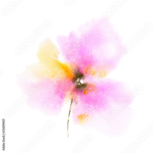 Fotografie Pink loose flowers bouquet