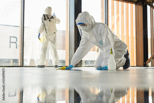 Canvas Print Full length portrait of two workers wearing protective suits cleaning surfaces i