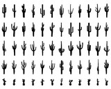 Black silhouettes of different cactus on the background