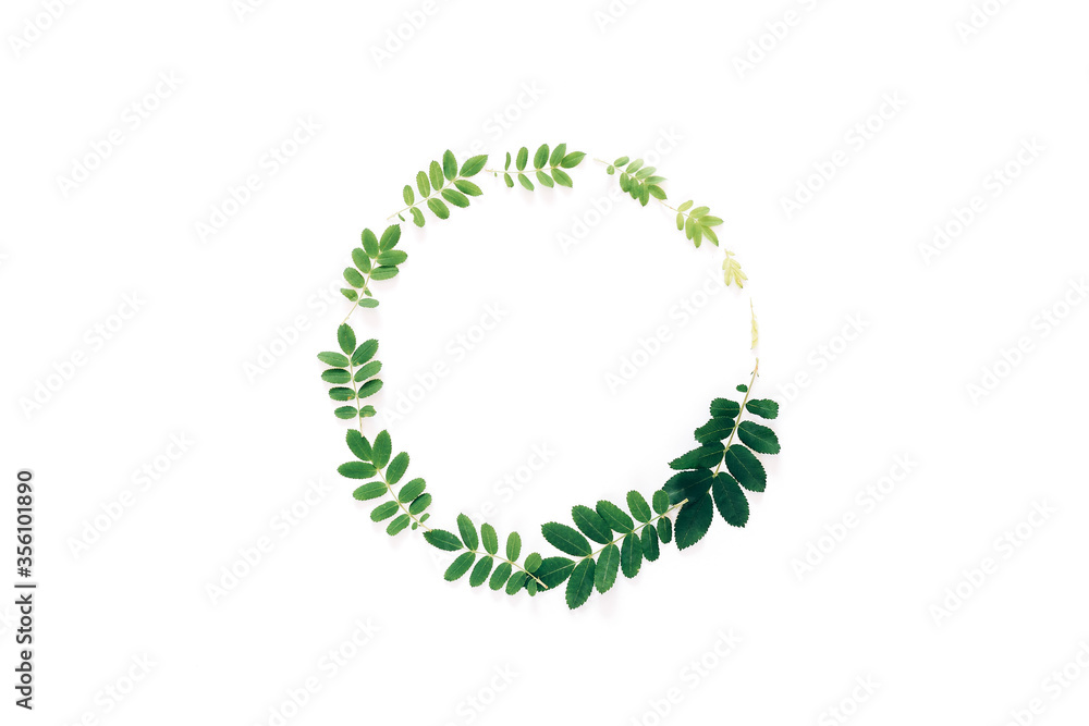 Beautiful wreath of fresh branches, a beautiful frame of branches in a circle leaf maturation, growth in nature Beautiful wreath of fresh branches, a beautiful frame of branches in a circle leaf maturation, growth in nature