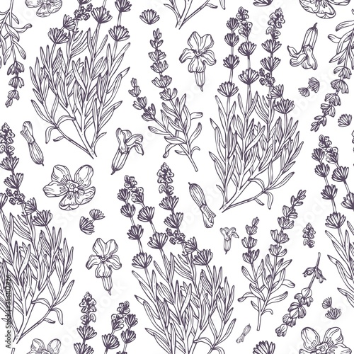 Hand drawn lavander pattern. Sketch background in vintage style. For textiles, advertising, packaging, cosmetics, aromatherapy, medicine.