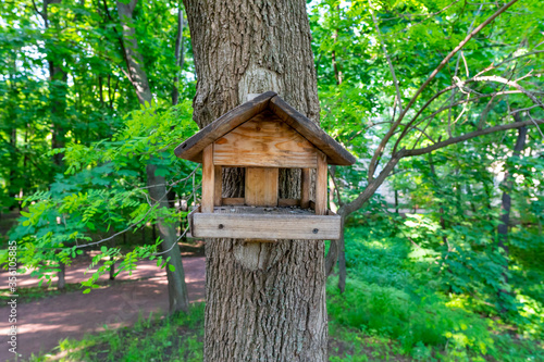 Wooden bird house on a tree in the park or forest. Amazing spring green colors. 