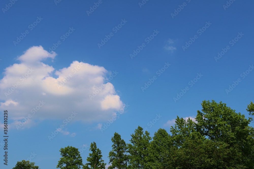 Obraz premium 新緑 青空 爽やか 6月 風景 