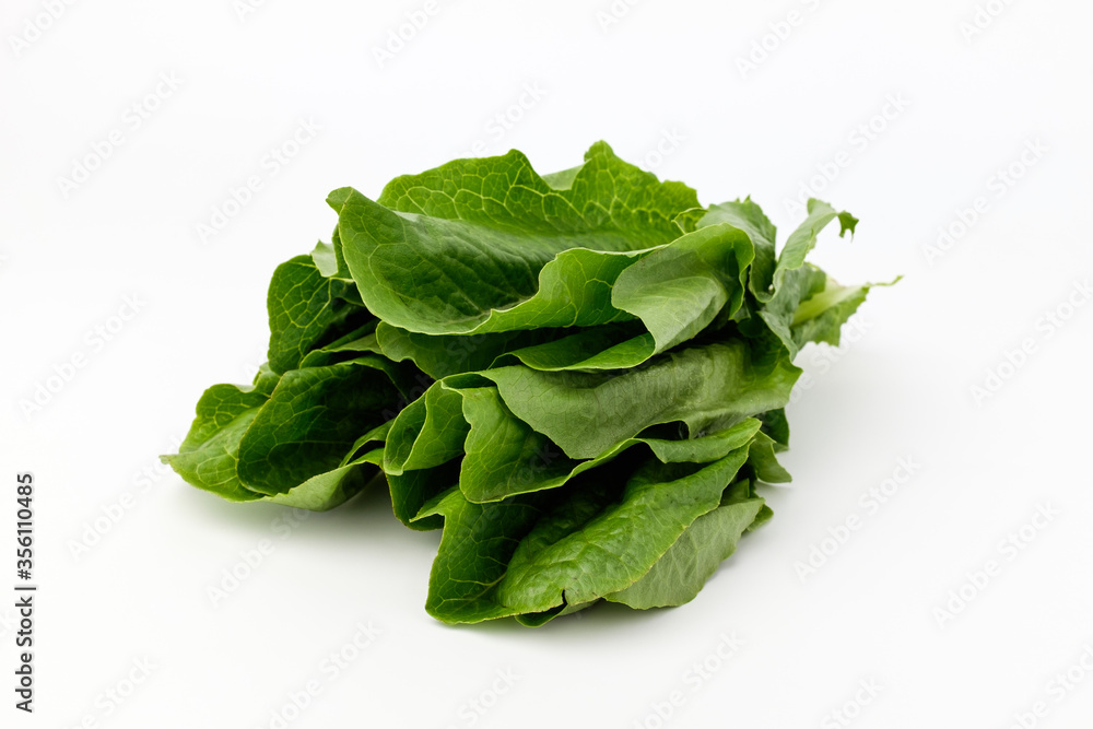 Romaine lettuce on white background Romaine lettuce on white background