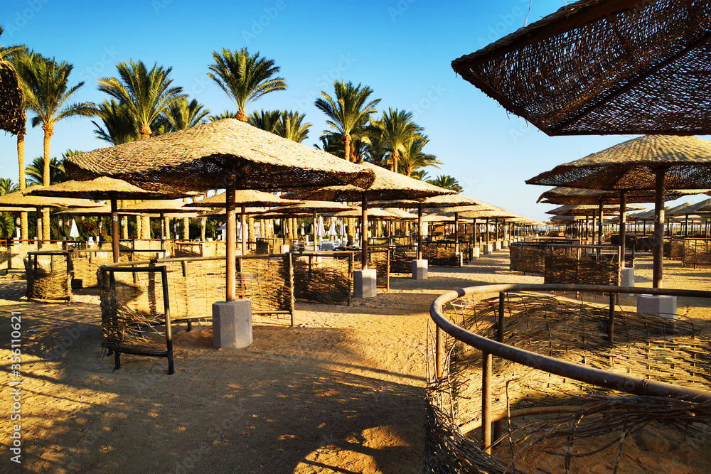 beach in the egypt beach in the egypt