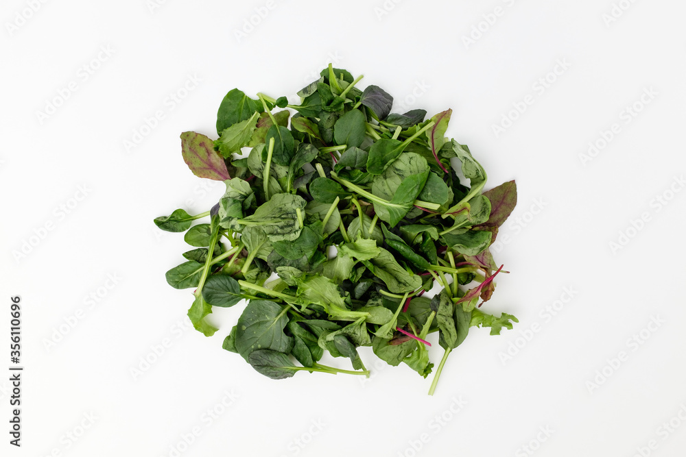 Young leaf vegetable on white background Young leaf vegetable on white background