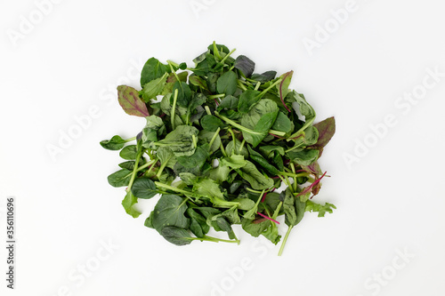 Young leaf vegetable on white background