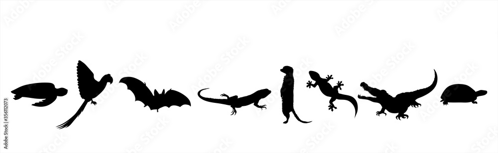 Obraz premium Collection of vector silhouette of animals on white background. Symbol of nature and zoo garden.
