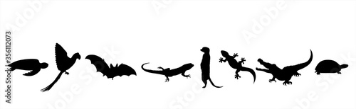 Collection of vector silhouette of animals on white background. Symbol of nature and zoo garden.