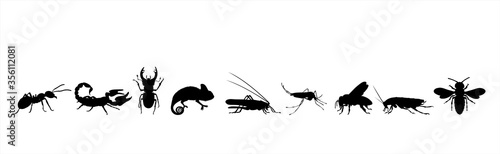 Collection of vector silhouette of animals on white background. Symbol of nature and insect.
