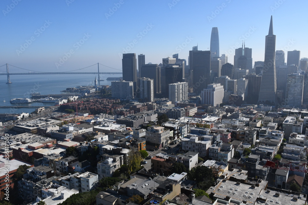 Fototapeta premium Aerial view of San Francisco skyline, Financial District and Transamerica Pyramid from the top of Coit Tower on sunny day, California, United States.