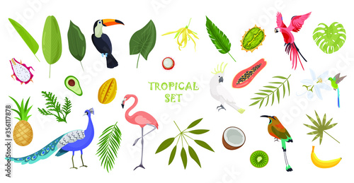 Tropical set with birds, plants and fruits. Tropical leaves, plants, and flowers. Exotic banner for design and textiles. Tropical bright set. Summer set of stickers, poster.