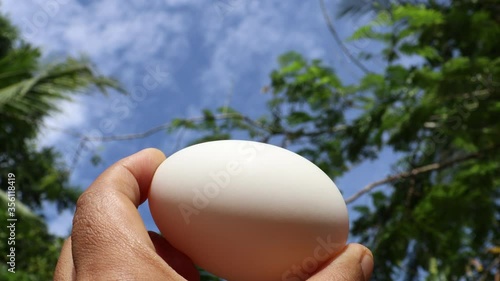 hand holding a egg photo