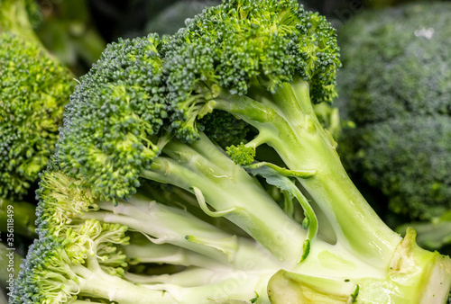 broccoli cabbage is taken coarsely. vegetables ripe, juicy. High quality photo