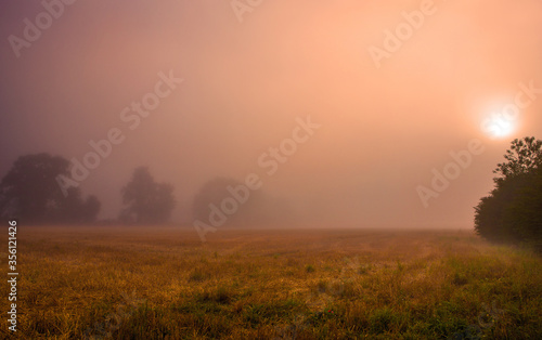 Sunrise in the mist over the field in the countryside.