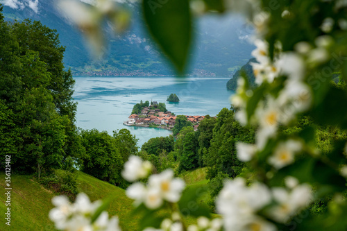 Blick auf Iseltwald am Brienzersee photo