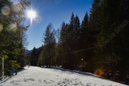 road in winter forest, photo picture digital image , in the italian european dolomiti alps mountains between trento and belluno in north italy, europe