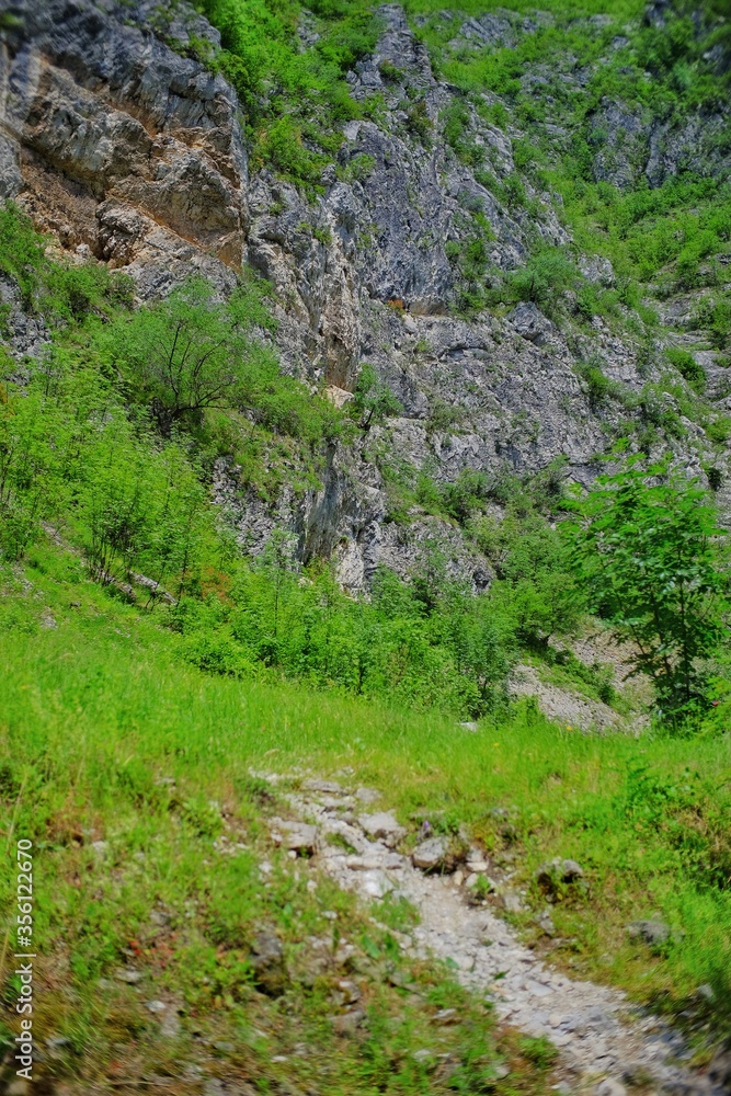 Karst landscape Sohodol Valley