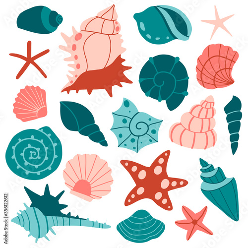 BIg set of various sea shells and starfish