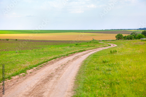 country road and agricultural fields , summer rustic landscape 