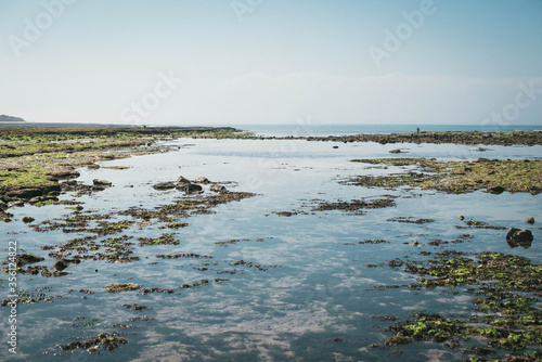 Marée basse à l'ile de Ré