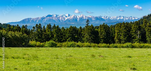 Fototapeta Naklejka Na Ścianę i Meble -  Fragment of the mountain range - Tatras in spring scenery seen from a green glade.