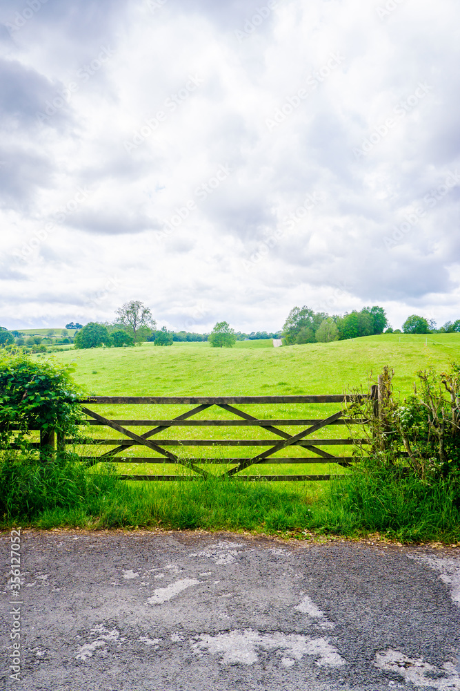 Wooden gate with open field and hawthron hedge Wooden gate with open field and hawthron hedge