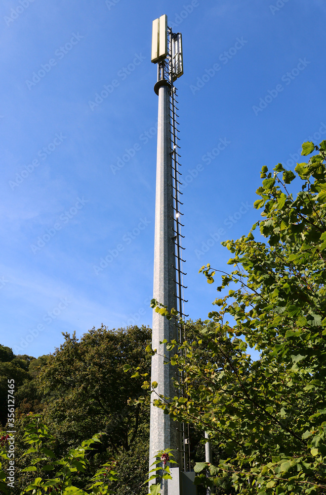 Obraz premium Mobile network tower hidden away in woodland. Clear against a summer sky.
