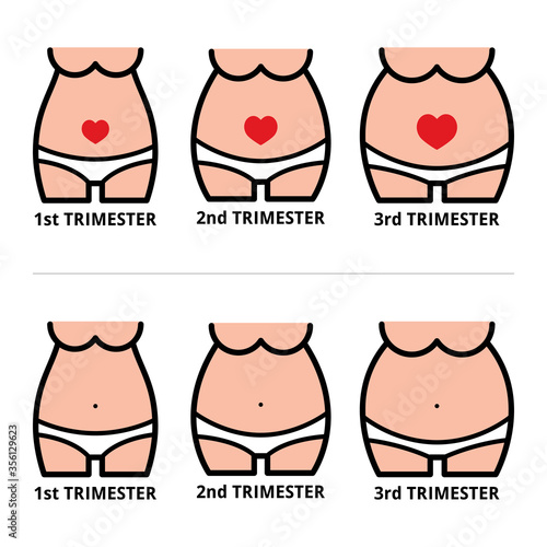 Pregnancy stages icons, pregnant belly design at first, second and third trimester 