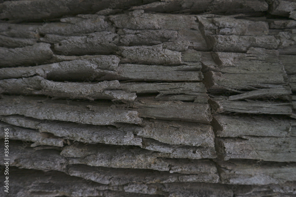 wood texture with natural pattern for background. wood texture with natural pattern for background.