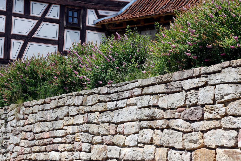 House, Wall, Bluehen, Herpf, Thueringen, Germany, Europe House, Wall, Bluehen, Herpf, Thueringen, Germany, Europe
