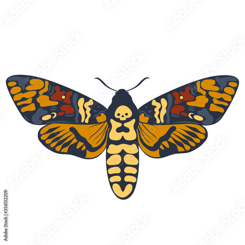 Moth dead head Isolated on a white background. Vector graphics.