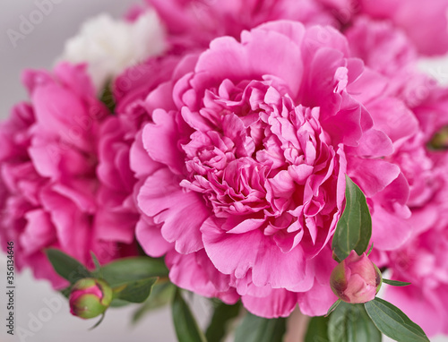 Fototapeta Naklejka Na Ścianę i Meble -  Peony bouquet in vase. Rich bunch of peonies. Greeting card for mother's day. Women's Day. Valentine's Day. Copy space. Spring or summer greeting card with flowers.Wedding invitation.Happy Birthday